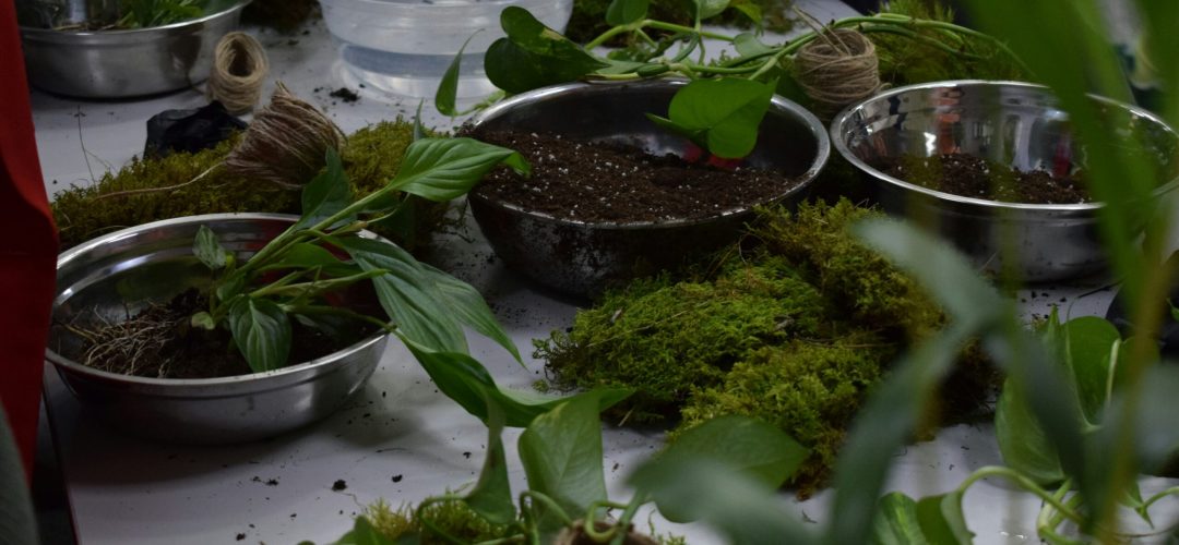 teeny-tina-yT4IKY2fHDA-unsplash